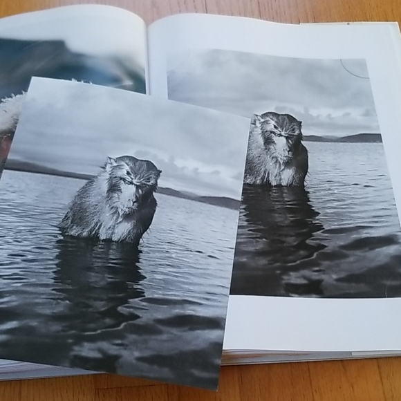 LIFE The Classic Collection Book incl. 25 Prints - Picture 11 of 16